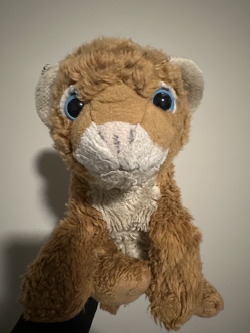 Huzai portrait